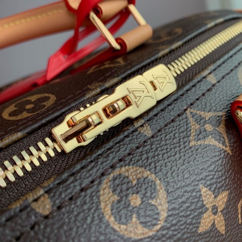 LV Speedy Bags
